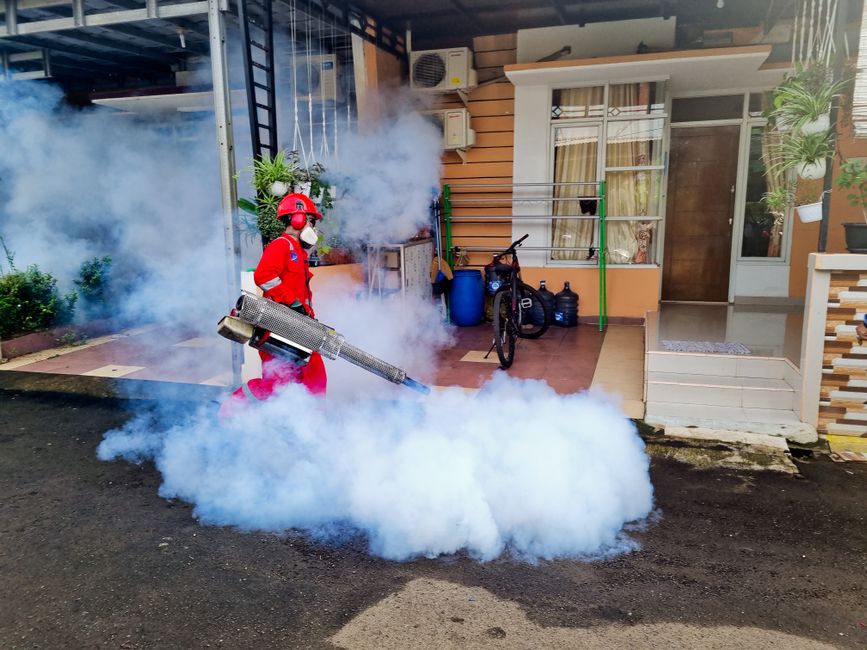 Safe Pest Solutions LLC team at work